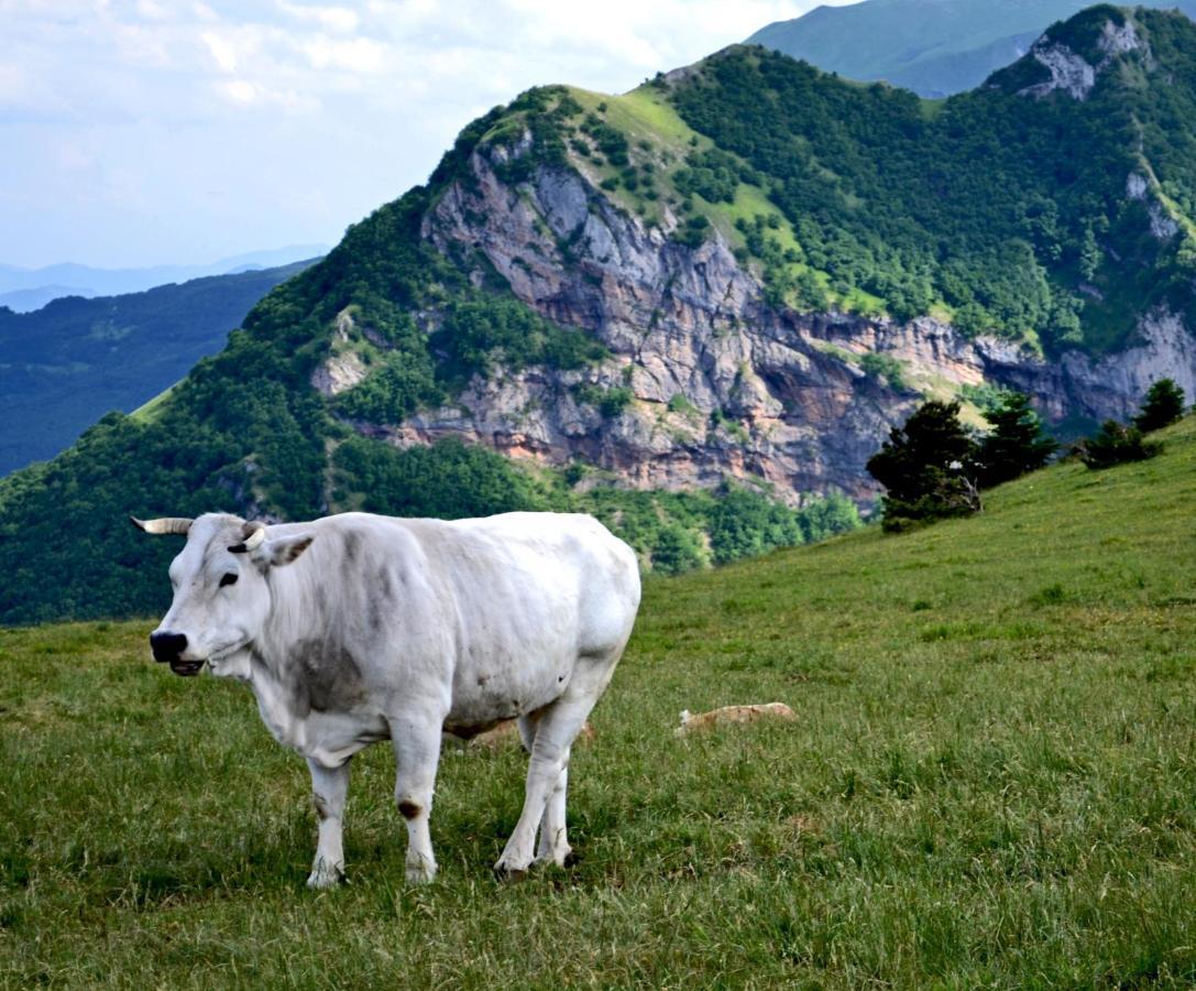 Locanda Della Rocca Sarnano Eksteriør billede