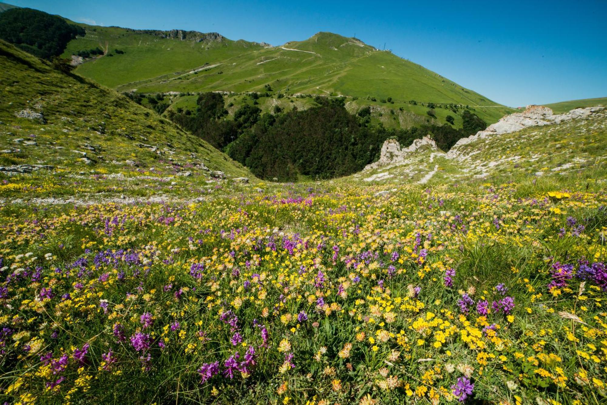 Locanda Della Rocca Sarnano Eksteriør billede